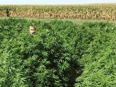 American Hemp Research - CBD & Hemp Shop