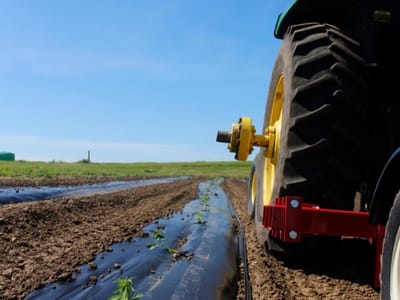 American Hemp Research - CBD & Hemp Shop