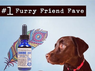 American Shaman of Lake Charles