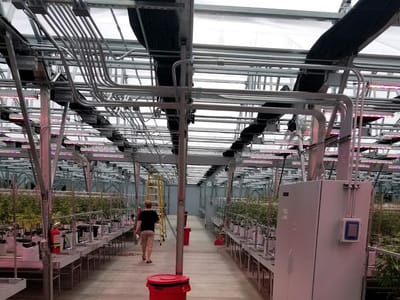 Apeiron North Fields LLC