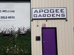 Apogee Gardens Dispensary