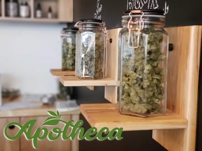 Apotheca - CBD, Delta8, & Kratom