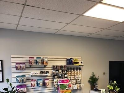 Apothecary Of Mary Artistry Store