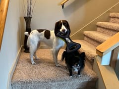 Applegate Valley Herb Co.