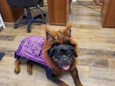 Applegate Valley Herb Co.