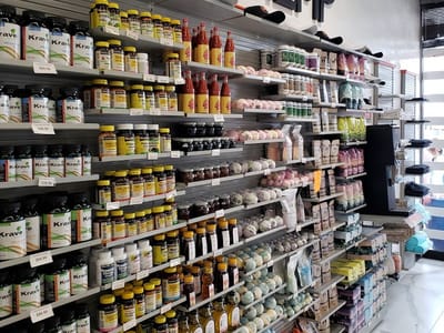 AUER Ocean Beach | CBD Products, CBD Gummies, CBD Tinctures, CBD Oils, CBD Pet Treats