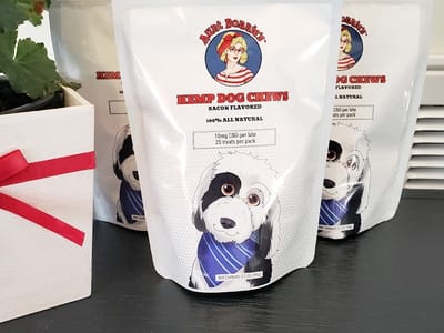 Aunt Bonnie's Manchester Vermont