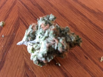 Backcountry Cannabis