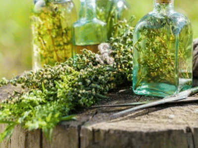 Backporch Dispensary CBD, LLC