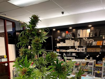 BakeBros Smoke Shop + CBD + Kratom