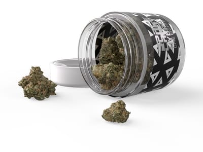 BAT Vapor Pensacola Vape Shop and Lounge