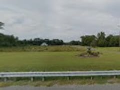 Bathing Bee: Organic CBD Skin Care Products