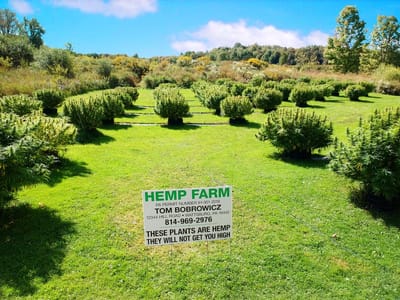 BF Extracts Hometown Hemp Shop