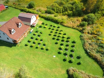 BF Extracts Hometown Hemp Shop