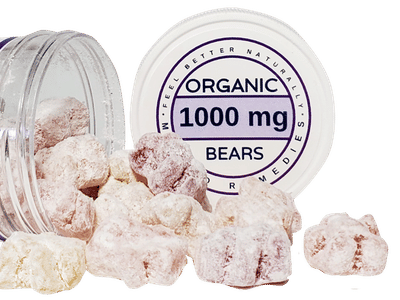 big green grasshopper