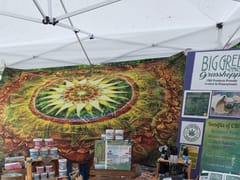 big green grasshopper