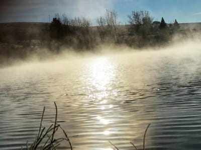 Big Sky Herbals and Edibles