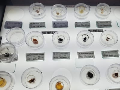 Bloom Marijuana Dispensary Lolo