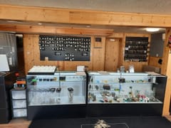 Bloom Montana (Townsend)