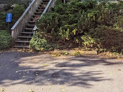 Blue Flowers Cannabis Hemp Dispensary THCa, Delta 8 THC, Delta 9 THC, Delta 10 THC, HHC, CBD, CBN, CBG, THCp, THCv