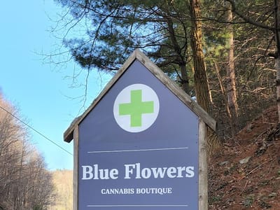 Blue Flowers Cannabis Hemp Dispensary THCa, Delta 8 THC, Delta 9 THC, Delta 10 THC, HHC, CBD, CBN, CBG, THCp, THCv