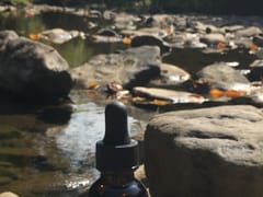 Blue Mountain Extracts, LLC.