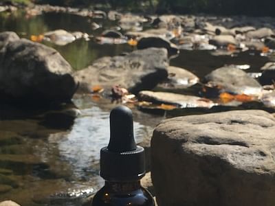 Blue Mountain Extracts, LLC.