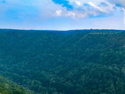 Blue Mountain Extracts, LLC.