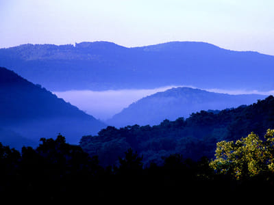 Blue Mountain Extracts, LLC.