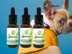 Bluebonnet CBD