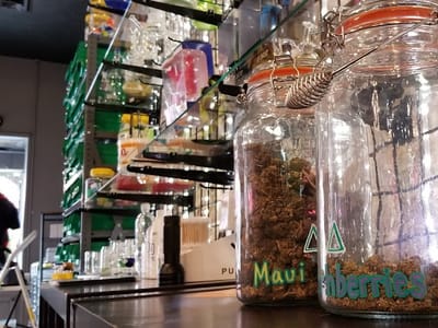Bodegas Botanicals & Glass Smoke Shop & Adult Boutique Now Open