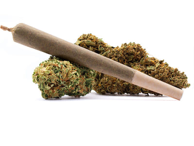 Botanical Rhapsody Organics of Mantorville (CBD Store)