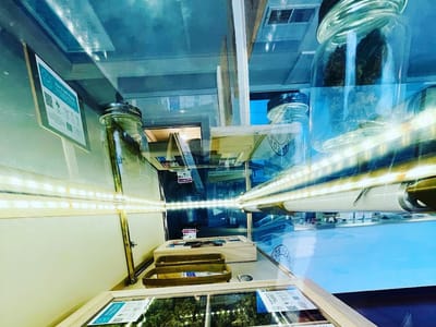 Brazos Farms Cannabis