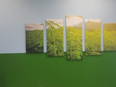 Breathe Freely Cannabis Company: Hemp, CBD, Delta 8