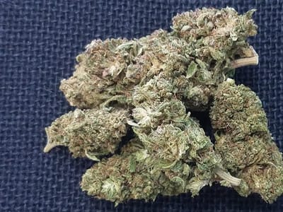 Breathe Freely Cannabis Company: Hemp, CBD, Delta 8