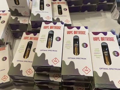 Brecken Gold Athletics Corp.