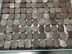 Brecken Gold Athletics Corp.