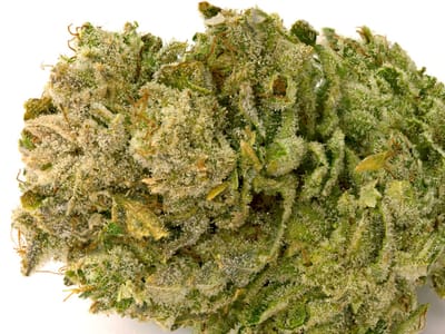 Brookside CBD Wellness Center - Kodak, Pharmacist Owned