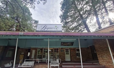 Bryan's Green Care Ruidoso