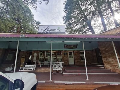 Bryan's Green Care Ruidoso