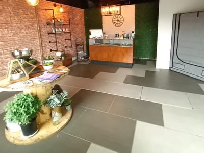 Cambri Hemp | Delta 8