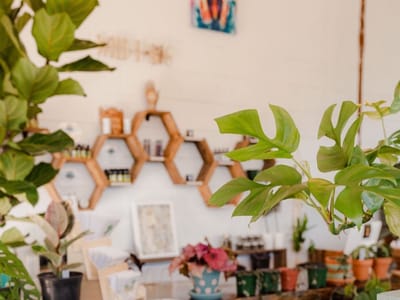 Cane Creek CBD dispensary