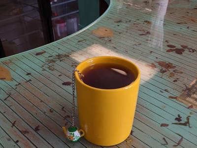 Cann-I-Help Company Inc.