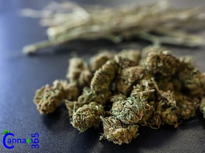 Canna 365 Cannabis Dispensary