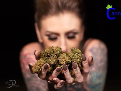 Canna 365 Cannabis Dispensary