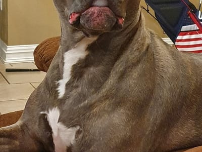 Canna Life Dispensary