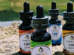 Canna Living, Canna Paws