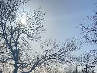 Canna World Market Loveland CBD & Mushrooms