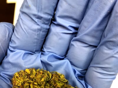 CannaBinoiD Remedies - CBD Shop