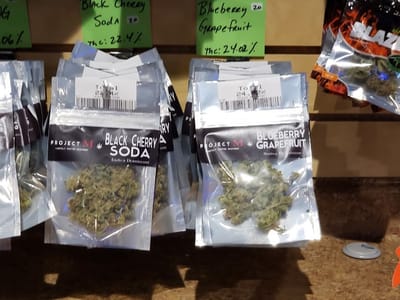 Cannabis 21 - Ocean Shores